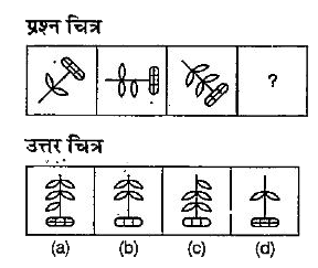 नीचे दिए गए  प्रश्न में तीन प्रश्न चित्र गए है तथा चौथे चित्र के लिए स्थान छोड़ दिया गया है। प्रश्न चित्र श्रेणी क्रम में हैं। श्रेणी क्रम को पूरा करने के लिए उपलब्ध उत्तर चित्रों में से एक चित्र का चयन करें जिसे प्रश्न चित्र के खाली स्थान में प्रतिस्थापित किया जा सकें।