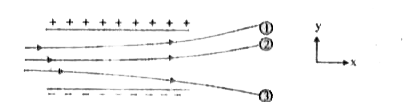 Figure below shows tracks of three charged particles in a uniform clectrostatic field. Give the signs of the three charges. Which partiele has the highest charge to mass ratio?