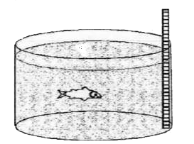 You may observe that the fish inside the equarium appears to be raised.   a. What is the reason for this phenomenon ?   c.  What happens to the height of the object , (that vertically stands in the aquarium ) when it is observed by the fish ?   i. Becomes taller   ii. becomes smaller   iii. The height does not change    Justify your answer .