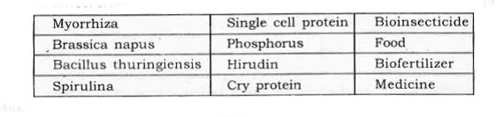 Some important applications of biotechnology are given below. Arrange them in correct order.