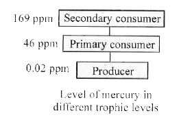 The data collected from a water body located  near  an industry  is displayed in the figure . Analyse the data.      a. Explain the  observed  differences in the  levels  of mercury  between  primary and secondary  consumers.   b.  Mention the health problem associated with the  consumption  of fish  captured  fromd this water body.