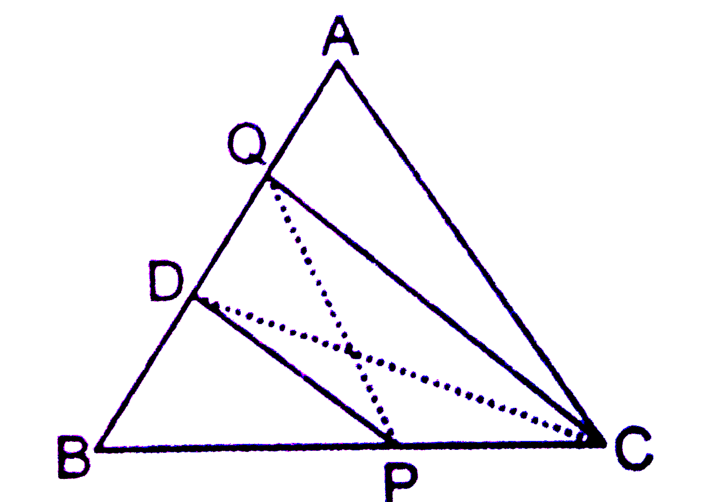 बगल की आकृति DeltaABC  में ,D भुजा AB का मध्य बिंदु है| P ,BC पर कोई बिंदु है | CQ ,PD के समांतर ही तथा भुजा AB को Q पर प्रतिच्छेद करती है|   सिद्ध कीजिए की ar (Delta BPQ) =(1)/(2) ar (Delta ABC)