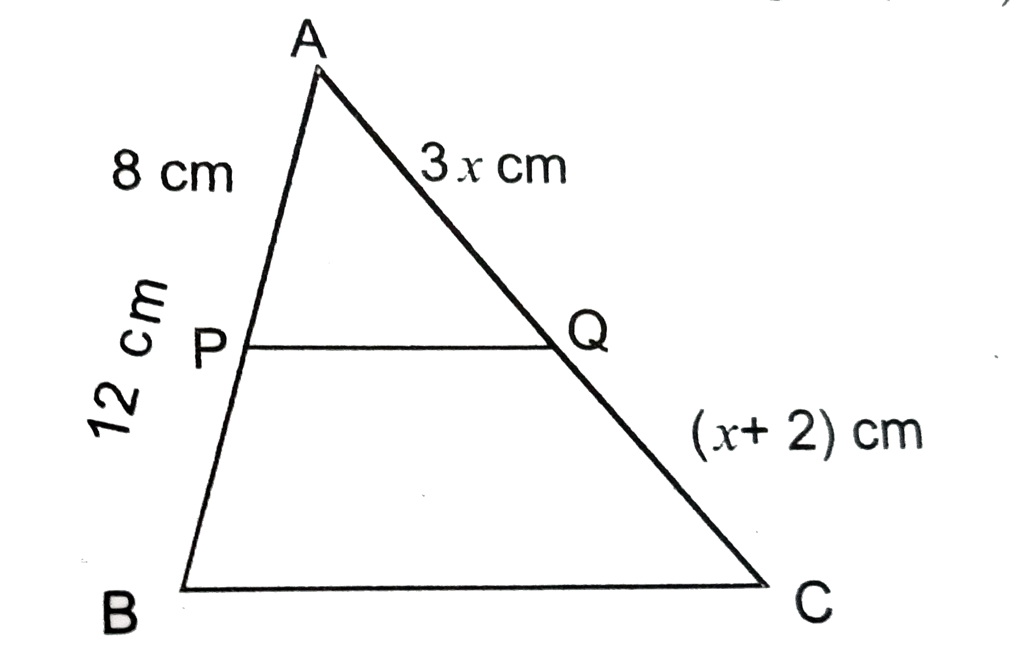 नीचे के चित्र में P और Q,DeltaABC की भुजाएँ AB और AC पर क्रमशः दो बिन्दु इस प्रकार है कि PQ||BC तथा AP=8cm,AB=12cm,AQ=3xcm,QC=(x+2)cm. x का मान ज्ञात करें ।