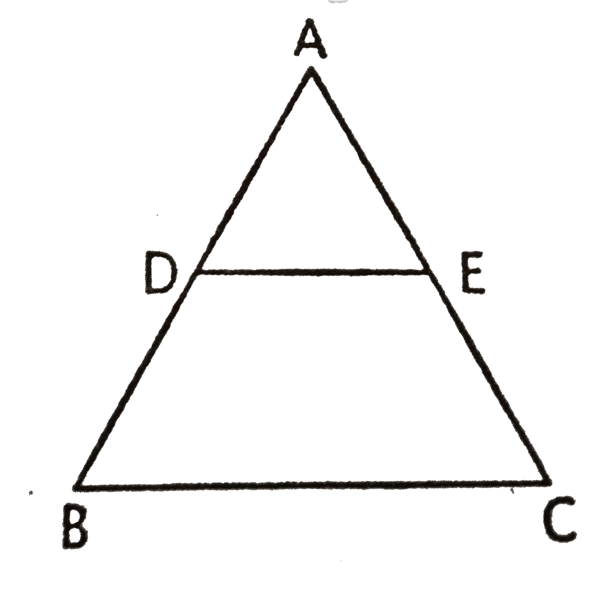 दी गई आकृति में DE||BC और (AD)/(DB)=(3)/(5) यदि AC=4.8 सेमी हो , तो AE का मान ज्ञात कीजिए ।