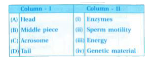 Match between the following representing parts of the sperm and their functions and choose the correct option.