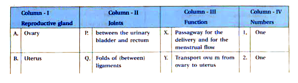 Joint the correct column-I, II, III and IV.