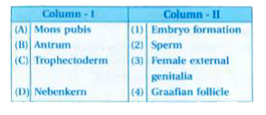 Match column I with column II and select the correct option using the codes given below.
