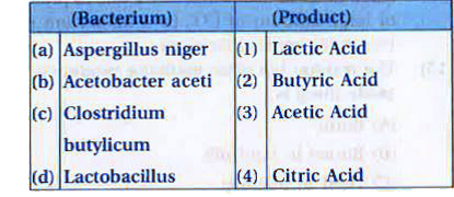 Match the following list of bacteria and their commercially important products.