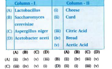 Match the following organisms with the products they produce