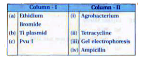 Match the columns