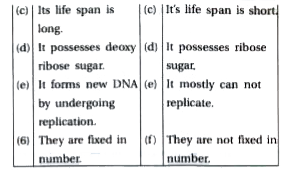 ocr_image