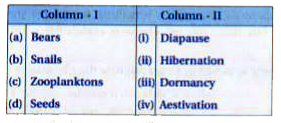 Match the columns