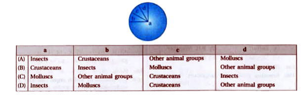 Given below is the representation of the extent of global diversity of invertebrates. What groups the four portions (a-d) represent respectively ?
