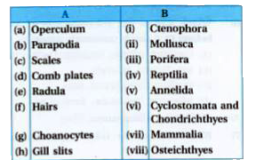 Match the following: