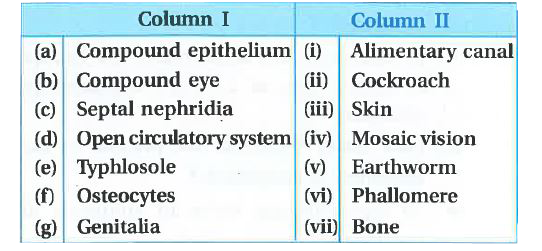 Match the terms in column I with those in column II