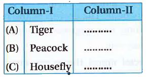 Common name of some animals are given in Column I, write their scientific  name in Column II