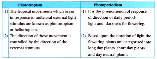 What Do You Understand By Photoperiodism And Vernalisation Describe Their Significance