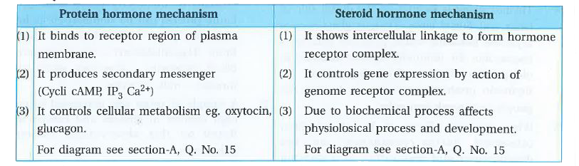 ocr_image