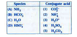 Match the following species with the corresponding conjugate acid.