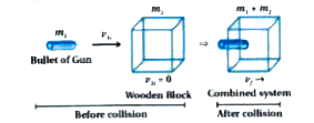 Discuss the completely inelastic collision in one dimension .