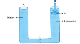 As shown in the figure  two cylindrical vessels A and B are interconnected . Vessel A contains water up to 2m height and vessel B contains kerosene . Liquids are separated by movable, airtight disc C . If height of kerosene is to be maintained at 2m , calculate the mass to be placed on the piston kept in vessel B. Also calulate the force acting on disc C due to this mass. Area of piston =100cm^(2), area of disc     C=10cm^(2) , Density of water =10^(3)kgm^(-3), specific density of kerosene =0.8.
