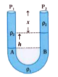 As shown in figure lower portion of the manometer tube contains fluid of density rho(1) and the upper part contains fluid of density rho(2)(rho(1)gtrho(2)) .    If  pressures on the top of these two arms are P(1)andP(2), calculate pressure differnce (P(1)-P(2)).