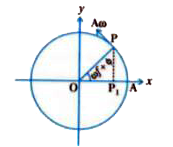 In the figure, what will be the sign of the velocity of the point P1, which is the projection of the velocity of the reference particle P. P is moving in a circle of radius R in anti-clockwise direction.   .