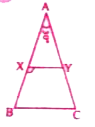 नीचे के चित्र में ABC एक समद्विबाहु त्रिभुज है जिसकी भुजा AB=AC तथा xy||BC यदि angleA=30^(@) हो तो angleBXY का मान निकालें |