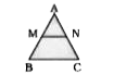 triangleABC में MN || BC, चतुर्भुज MBCN का क्षेत्रफल=130 वर्ग सेमी. है। यदि AN : NC = 4:5 है, तो triangleMAN का क्षेत्रफल कितना है?