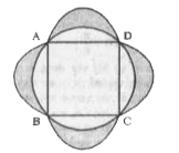 दी गई आकृति में, एक वर्ग ABCD 24 सेमी व्यास युद्ध में अंतर्निहित है। इस वर्ग के की प्रत्येक भुणा को व्यास मानकर बाहर को अगए हैं तब आकृति में यांकित भाग का क्षेत्रफल कितना है? (सेमी. में)