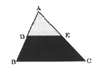 If D and E are the mid points of the sides AB and AC respectively of the triangle ABC in the figure given here, the shaded region of the triangle is what per cent of the whole triangular region?