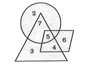 In the following figure, circle represents Graduates , triangle represents Sub-Inspector of Police , and parallelogram represents Women. Then, which number space represents Women Graduate and Sub -Inspector of Police ?