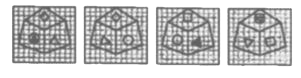 Which symbol will appear on the face opposite to the face of a circle O in the cube given below ?    Question Figures :