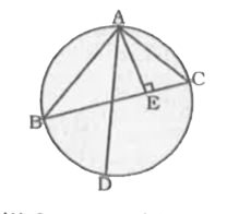 In the given figure , ABC is a triangle in which , AB = 10 cm , AC = 6 cm and altitude AE =4 cm . If AD is the diameter of the circumcircle , what is the length (in cm ) of circumradius ?