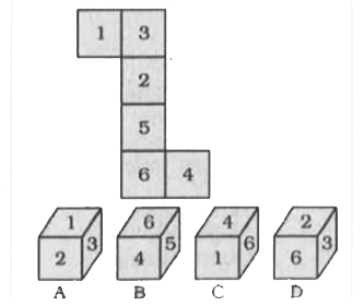 Select the dice that can be formed by folding the given sheet along the lines.