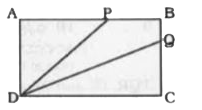 In the given figure, PB is one-third of AB and BQ is one-third of BC. If the area of BPDQ is 20 cm^(2), then what is the area (in cm^(2)) of ABCD ?