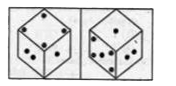 Two positions of a dice are shown below. Which number is in front of 5?
