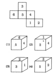 From the given options, which answer figure can be formed by folding the figure given in the question?