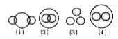 If each circle represents a class of objects/ideas, written below then find out the answer figure which illustrates better the relationship among them: