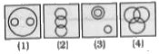 There is a set of elements: Cooler, Television, Electronic gadgets. Which figure given below will best represent the relationship among these three elements ?