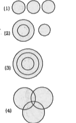 Answer the question on the basis of the figures given below that denote a set of classes. Pick out the figure that best denotes a particular group.    Train, Chair, School