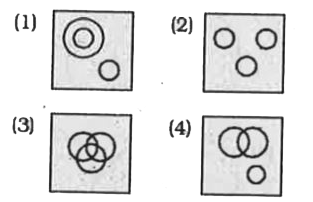 Identify the diagram  that best  represents  the relationship among the given classes.    Omnivores  , Bear , Deer.