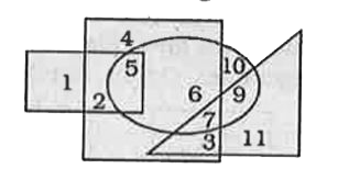Which number is in the square, ellipse and triangle?