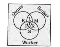 The diagram given below represents owner, broker and worker. Identify the region which represents all the three i.e. owner broker and worker.