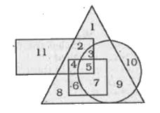 In the given diagram, Circle represents professionals, Square represents dancers. Triangles represents musicians and Rectangle represents Europeans. Different regions in the diagram are numbered 1 to 11. One the basis of the diagram, which among the following represents non-European professional dancers?