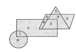Study the given  figure and answer the following question.       What is the  sum  of  numbers which  belongs to  the rhombus  but not the rectangle ?