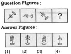 Find the missing figure in the series from the given answer figures.