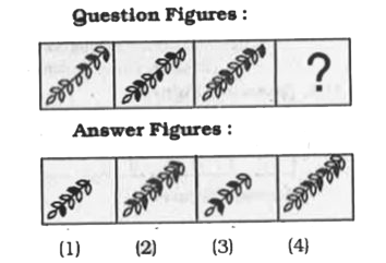 Find the missing figure In the series from the given answer figures.