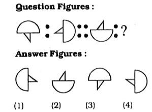 Select the related figure from the answer figures.