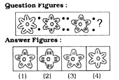 Select the related figure from the answer figures.